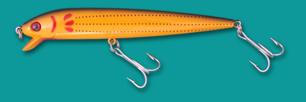 GGSMM-19 School Bus Chicken Scratch.jpg